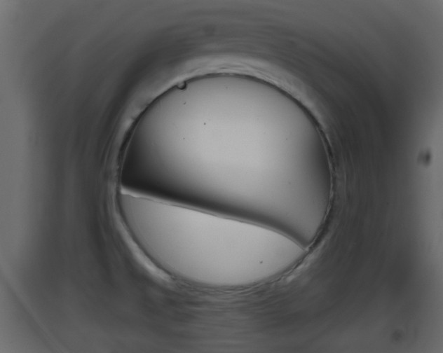X0000093381525200710111337
