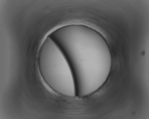 X0000093381526200710111337