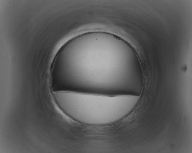 X0000093381527200710111337