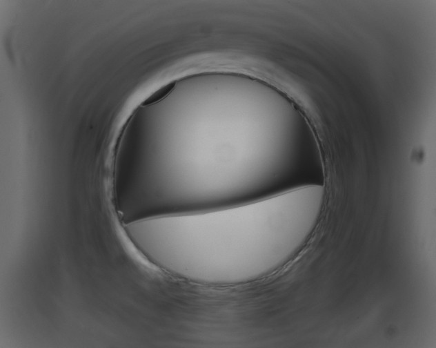X0000093381528200710111337