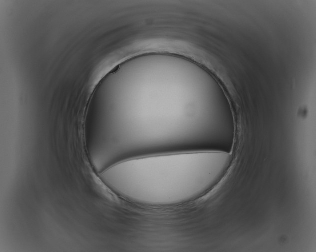 X0000093381529200710111337