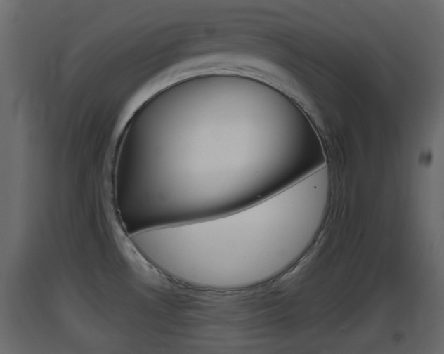 X0000093381530200710111337