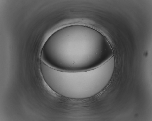 X0000093381532200710111337