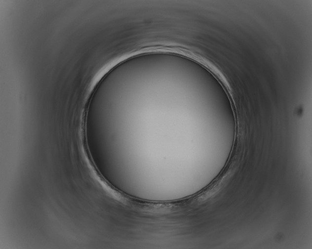 X0000093381533200710111337