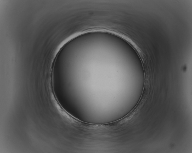 X0000093381534200710111337