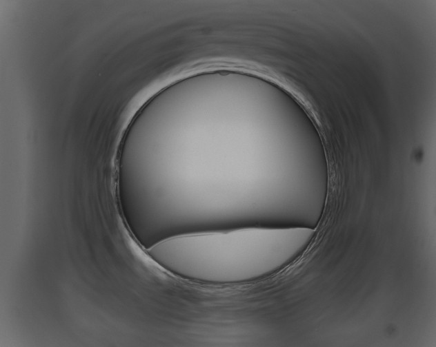 X0000093381535200710111337