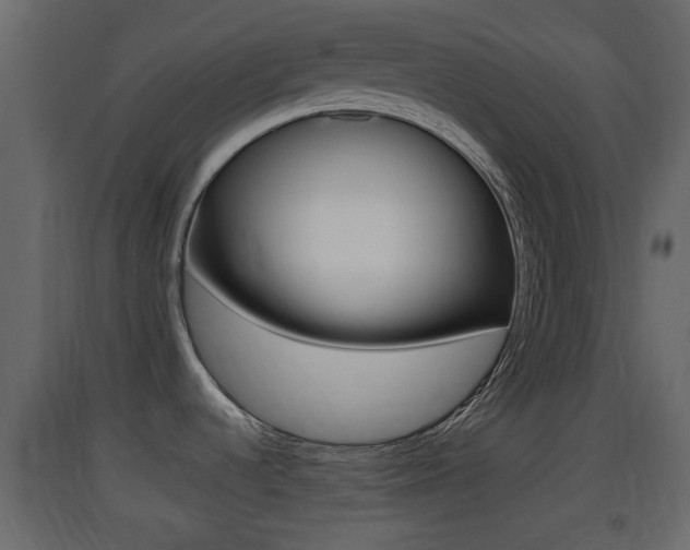 X0000093381536200710111337