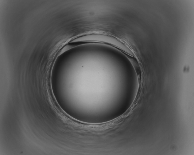X0000093380001200710111505