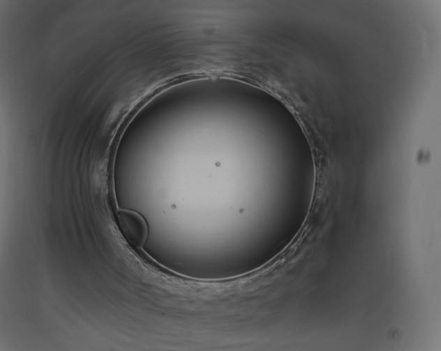 X0000093380002200710111505