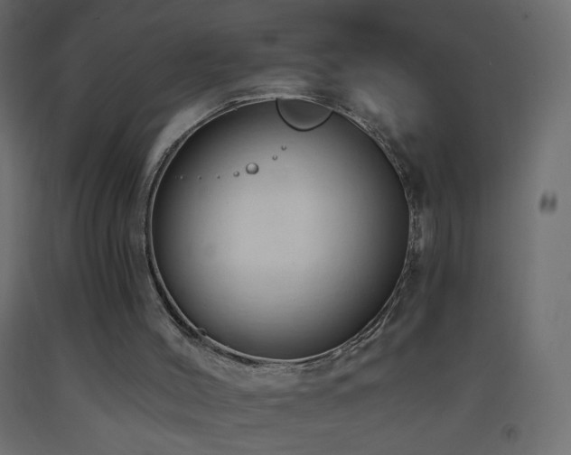 X0000093380004200710111505