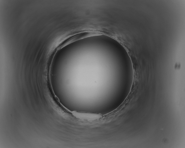 X0000093380005200710111505