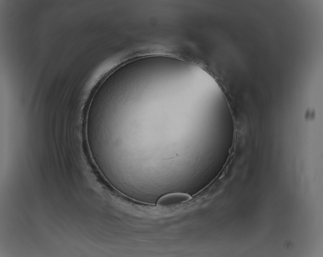 X0000093380006200710111505