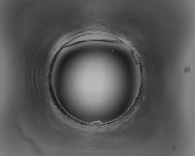 X0000093380007200710111504