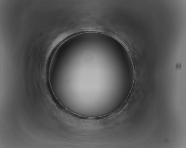 X0000093380008200710111504