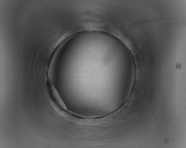 X0000093380009200710111504