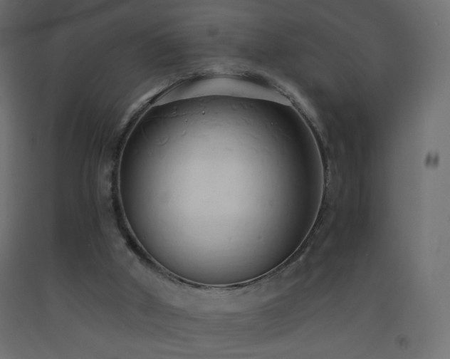 X0000093380010200710111504