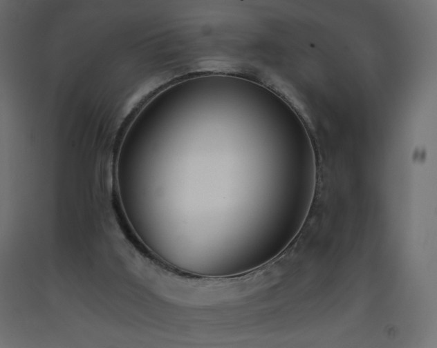 X0000093380011200710111504