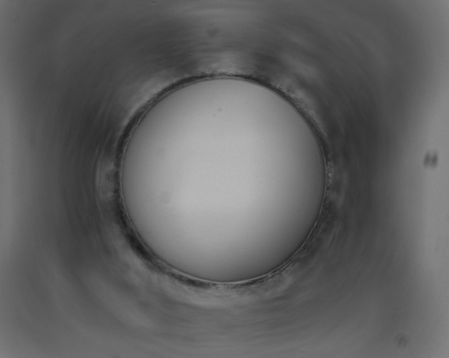 X0000093380012200710111504