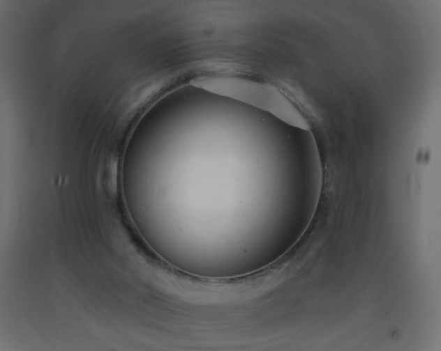 X0000093380014200710111504