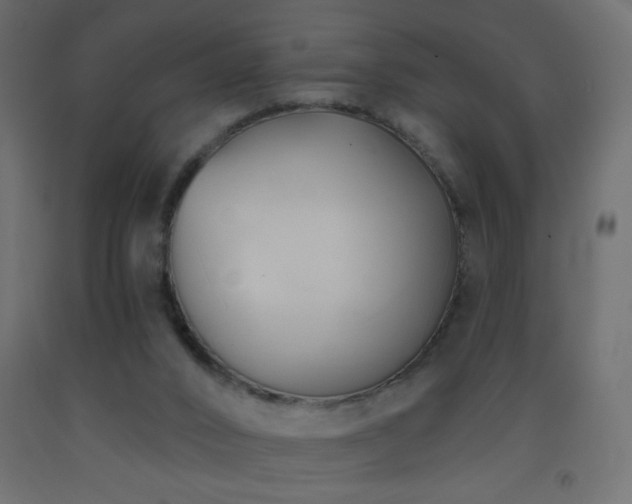 X0000093380016200710111504