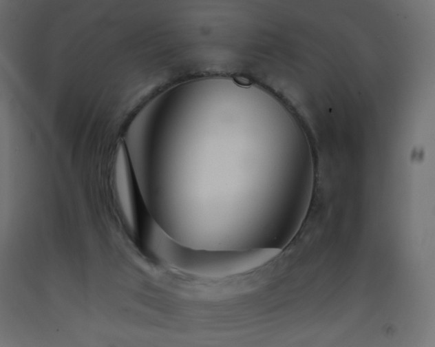 X0000093380017200710111504