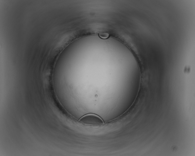 X0000093380018200710111504
