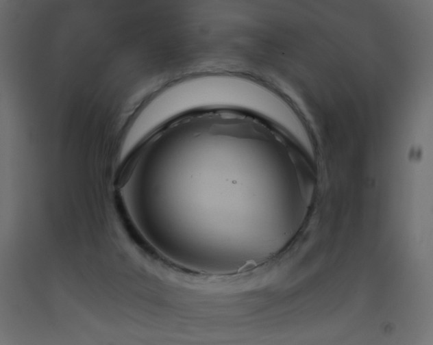 X0000093380019200710111504
