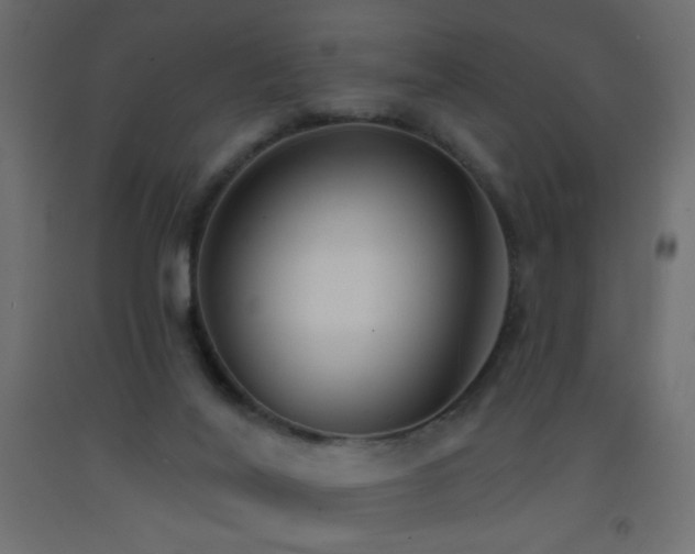 X0000093380020200710111504