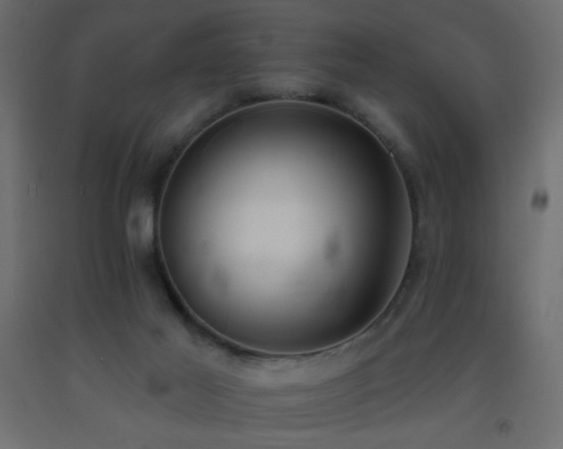 X0000093380021200710111504