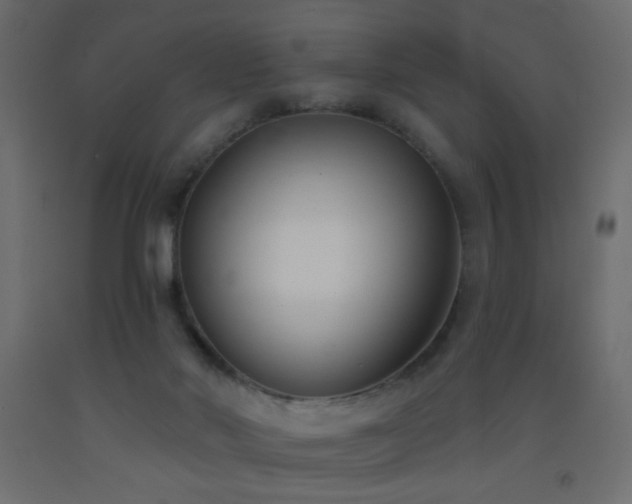 X0000093380022200710111504
