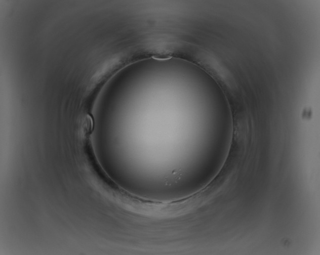 X0000093380023200710111504