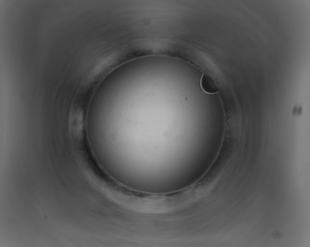 X0000093380024200710111504