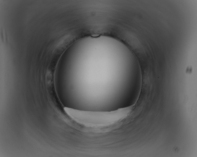 X0000093380025200710111504