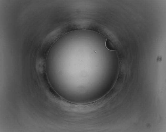 X0000093380026200710111504