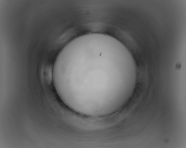 X0000093380028200710111504