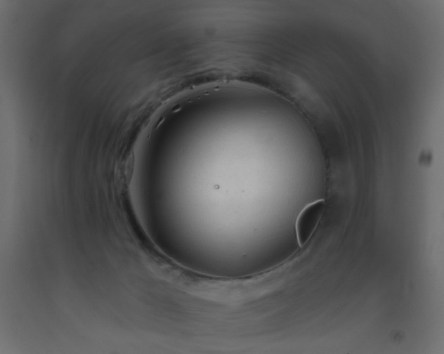 X0000093380029200710111504