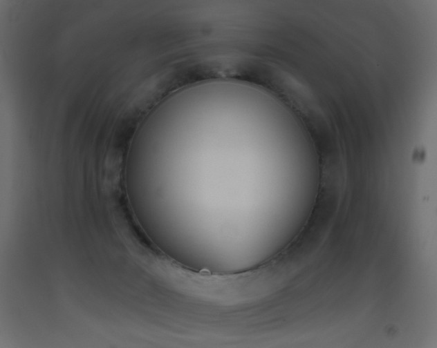 X0000093380030200710111504