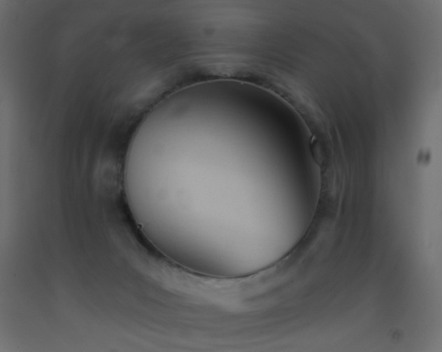 X0000093380031200710111504