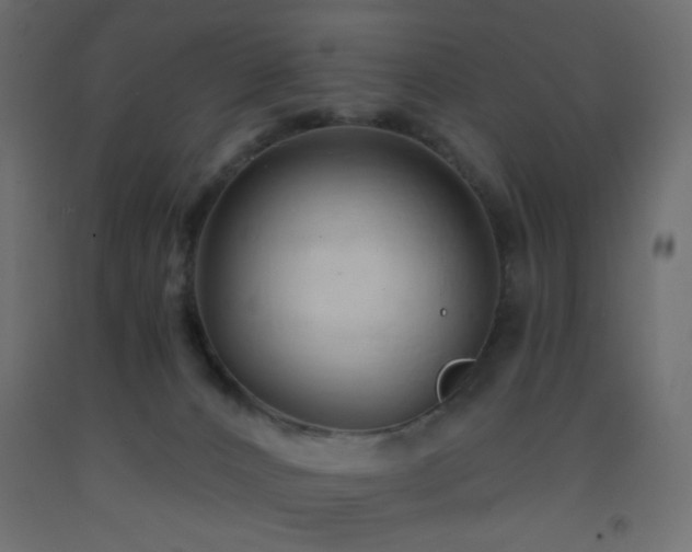 X0000093380032200710111504