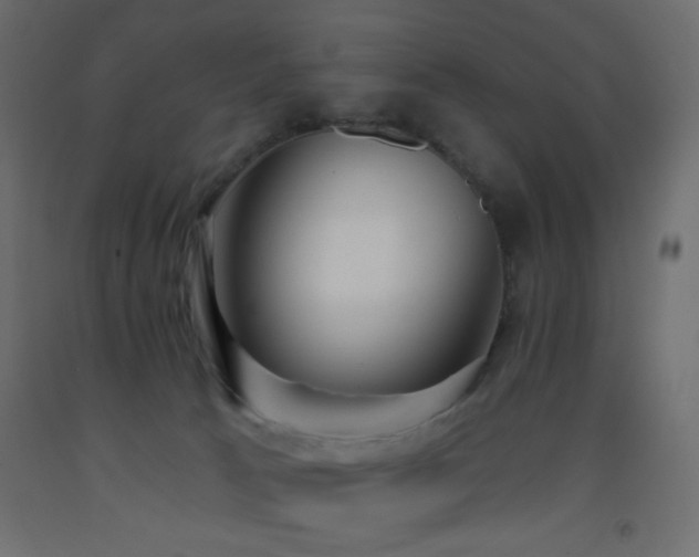 X0000093380033200710111504