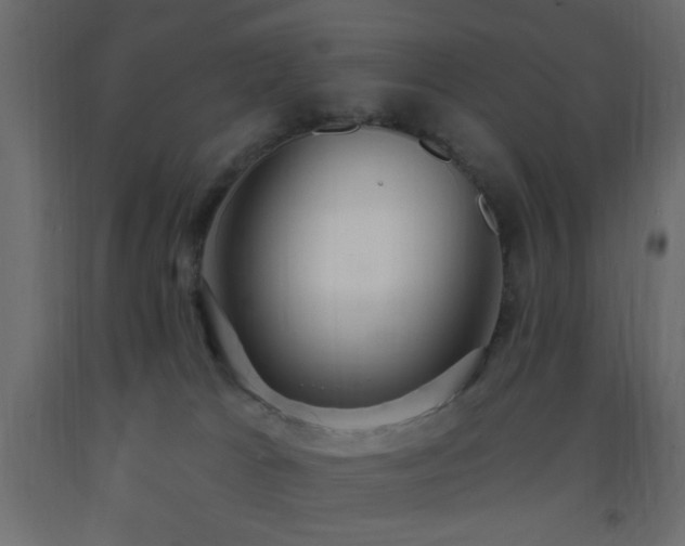 X0000093380037200710111504