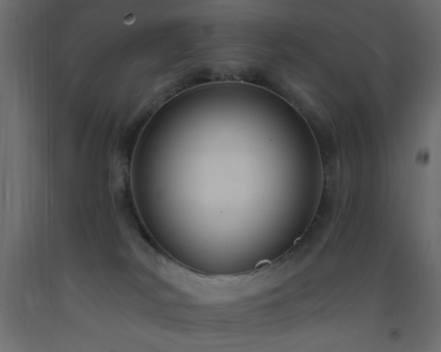 X0000093380038200710111504