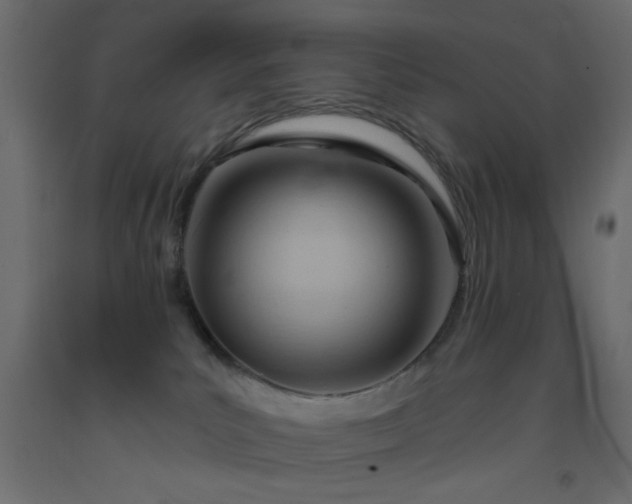 X0000093380039200710111504