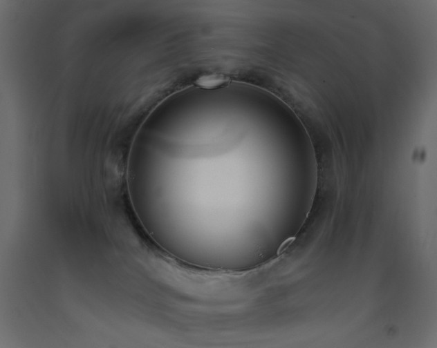 X0000093380040200710111504