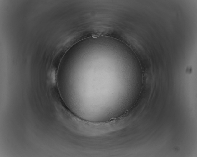 X0000093380042200710111504