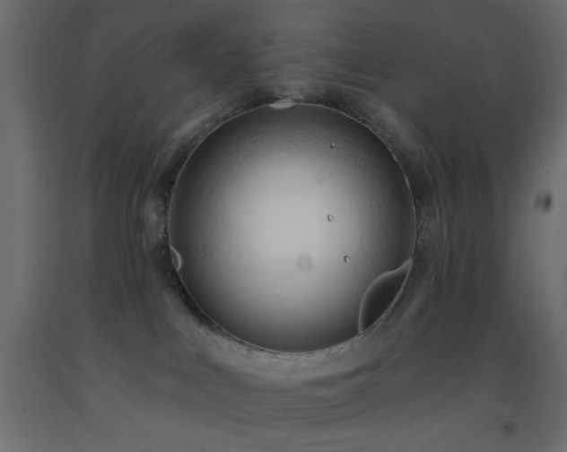 X0000093380043200710111504