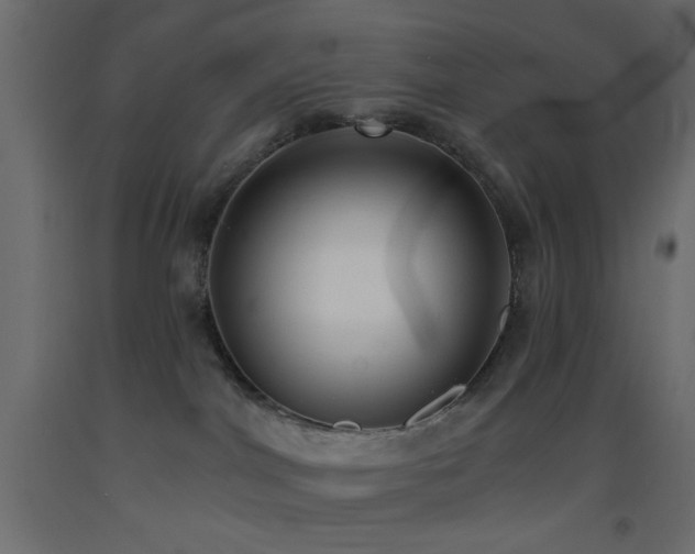 X0000093380044200710111504