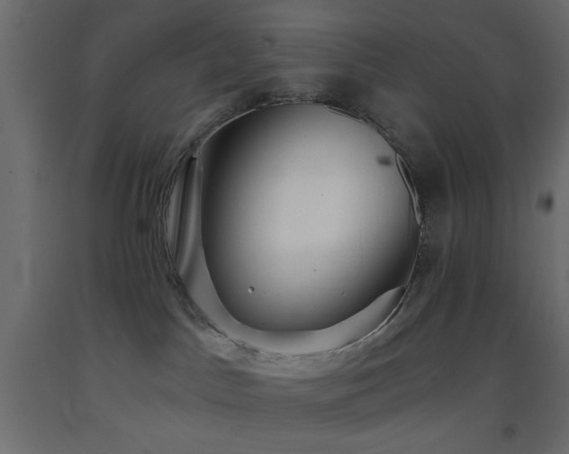 X0000093380045200710111504