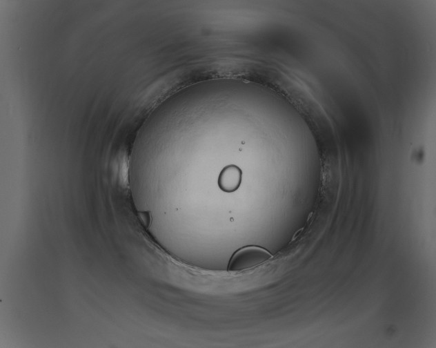 X0000093380046200710111504