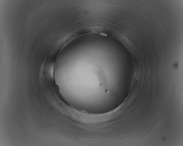 X0000093380047200710111504
